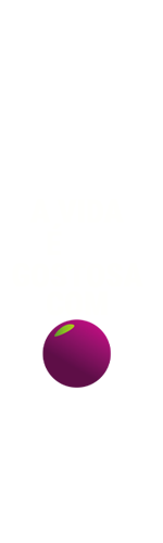 Logo fixa